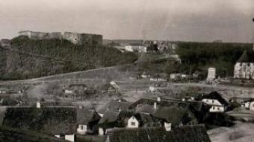 Jazłowiec. Źródło: DSH