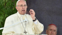 Papież Franciszek przemawia na zakończenie drogi krzyżowej na krakowskich Błoniach. Fot. PAP/R. Pietruszka