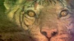 "Dlaczego boimy się zachodów słońca?"