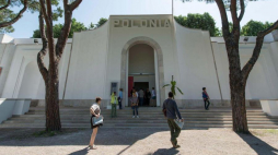 Polski pawilon na 56. Biennale Sztuki w Wenecji. 2015 r. Fot. PAP/M. Kulczyński 