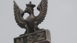 Narodowe Siły Zbrojne. Fot. PAP/G. Jakubowski