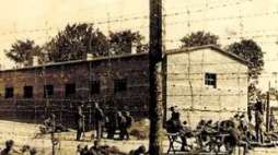 Jeńcy Oflagu 64 w Szubinie. Źródło: Oflag 64 Association
