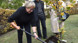 Poeci Ewa Lipska (L), Bronisław Maj (C) i Urszula Kozioł (P) podczas uroczystego posadzenia Akacji Wisławy Szymborskiej oraz Buka (na zdj.) Kornela Filipowicza w Krakowie. Fot. PAP/J. Bednarczyk