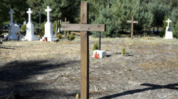 Polski cmentarz w Ostrówkach. Fot. PAP/D. Delmanowicz