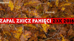 Akcja „Zapal znicz pamięci”