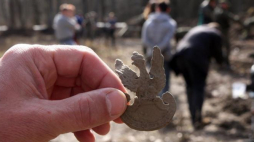 Orzełek z wojskowej czapki - poszukiwania szczątków żołnierzy Narodowych Sił Zbrojnych w lesie koło Starego Grodkowa. 19.03.2016. Fot. PAP/K. Świderski