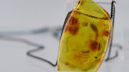 Naszyjnik "Portret rodzinny" autorstwa Aliny Filimoniuk-Pileckiej na wystawie "Bursztyn i design" w Muzeum Bursztynu w Gdańsku. Fot. PAP/A. Warżawa