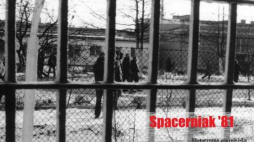 Gra miejska „Spacerniak 81”