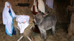 Szopka bożonarodzeniowa w Białymstoku. Boże Narodzenie, 2005 r. Fot. PAP/P. Supernak
