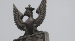 Narodowe Siły Zbrojne. Fot. PAP/G. Jakubowski 