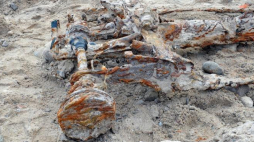  Operacja wydobycia pozostałości pojazdu na plaży w Pustkowie. Fot. PAP/M. Bielecki