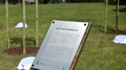 Ogród Sprawiedliwych w Warszawie. Fot. PAP/R. Guz