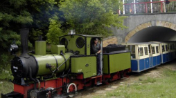 Przez kilka dni w sezonie letnim poznańska kolejka wąskotorowa Maltanka kursująca do nowego ZOO jest obsługiwana przez zabytkową lokomotywę Borsig z 1925 roku. Fot. PAP/ R. Sikora