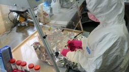 Pobieranie materiału genetycznego w szczecińskim laboratorium Polskiej Bazy Genetycznej Ofiar Totalitaryzmów. Fot. PAP/M. Bielecki