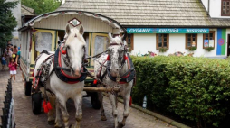 Międzynarodowy Tabor Pamięci Romów wyruszył 27 bm. sprzed Muzeum Etnograficznego w Tarnowie, aby dotrzeć do miejsc upamiętniających zagładę Romów. Fot. PAP/P. Topolski