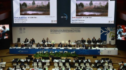 Dyskusja na temat Puszczy Białowieskiej podczas 41. Sesji Komitetu Światowego Dziedzictwa Kulturowego UNESCO w Krakowie. Fot. PAP/J. Bednarczyk