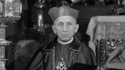 Abp Antoni Baraniak. Fot. PAP/CAF/E. Woloszczuk