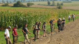 Międzynarodowe badania archeologiczne na polach grunwaldzkich. 09.2016. Fot. PAP/T. Waszczuk 