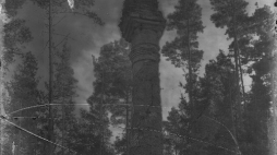 Kolumna ku czci Konstytucji 3 Maja w Leonpolu. Fot. sprzed 1914 r. Źródło: Wikimedia Commons