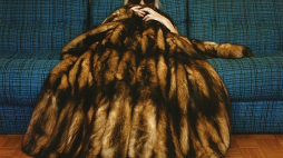 Natalia LL, Sztuka zwierzęca, 1978. Źródło: Wikipedia