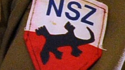 Narodowe Siły Zbrojne. Fot. PAP/M. Obara
