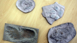 Odlewy śladów praludzi odkryte przez polskich paleontologów w Trachilos na Krecie. Fot. PAP/T. Gzell 
