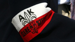 Szare Szeregi. Fot. PAP/T. Gzell