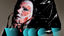 "Bjork Digital"