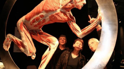 Źródło: Body Worlds Vital
