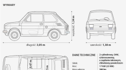 Infografika PAP