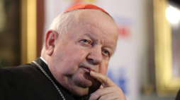 Kardynał Stanisław Dziwisz. Fot. PAP/S. Rozpędzik