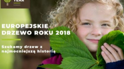 Konkurs Europejskie Drzewo Roku. Źródło: www.treeoftheyear.org