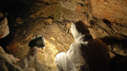 Pozostałości jam grobowych. Źródło: Fundacja Rzeszowskiego Ośrodka Archeologicznego
