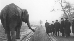 Burmistrz Kowna Anton Merkis w towarzystwie wiceprezydenta m.st. Warszawy Jana Pohoskiego w czasie zwiedzania warszawskiego ZOO, 1938 r. Źródło: NAC