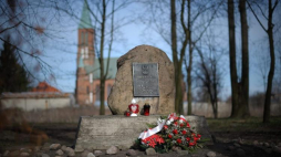 Dębe Wielkie. Fot. PAP/P. Piątkowski