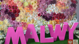 XX edycja konkursu „Malwy” . Źródło: Związek Polaków na Białorusi