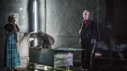 "Puppenhaus. Kuracja". Źródło: TR Warszawa