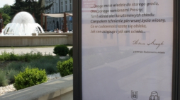 Żródło: UM Kalisz