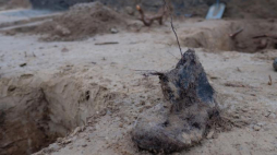 race archeologiczne Biura Poszukiwań i Identyfikacji IPN w pobliżu miejsca, w którym znajdował się obóz NKWD,. Fot. PAP/J. Kaczmarczyk