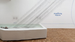 Źródło: Pawilon Polski na Biennale w Wenecji