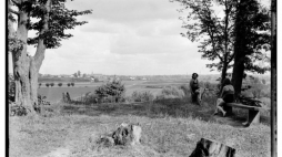 Źródło: Galeria Fotografii Miasta Rzeszowa