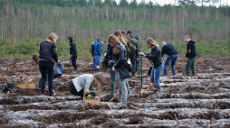 „Lasy pełne energii" w Łódzkiem. Źródło: Lasy Państwowe