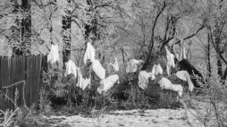 "Element krajobrazu". Źródło: Fundacja Archeologia Fotografii