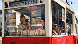Tramwaj Zwany Zaczytaniem. Fot. PAP/M. Bielecki