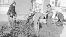 Sadzenie kwiatów na osiedlowym skwerze podczas czynu społecznego. Osiedle Za Żelazną Bramą w Warszawie, 1976 r. Fot. NAC