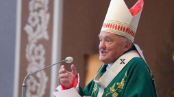 Metropolita warszawski, kardynał Kazimierz Nycz przewodniczy mszy świętej w intencji rozpoczynającego się II Kongresu Młodzieży Polonijnej ph. "Wiarą powołani". Fot. PAP/T. Gzell