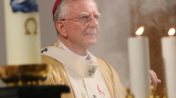 Metropolita krakowski abp Marek Jędraszewski. Fot. PAP/G. Momot