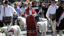 Korowód zespołów folklorystycznych przeszedł ulicami Zakopanego podczas 50. Międzynarodowego Festiwalu Folkloru Ziem Górskich. Fot. PAP/G. Momot