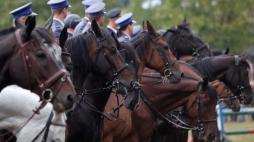 Międzynarodowy Turniej Policji Konnej w Częstochowie, 8 bm.Fot. PAP/W. Deska