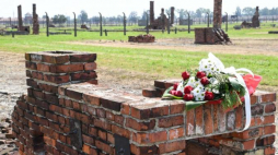 Uroczystości Międzynarodowego Dnia Pamięci o Zagładzie Romów w byłym niemieckim obozie zagłady Auschwitz II-Birkenau. 02.08.2018. Fot. PAP/J. Bednarczyk